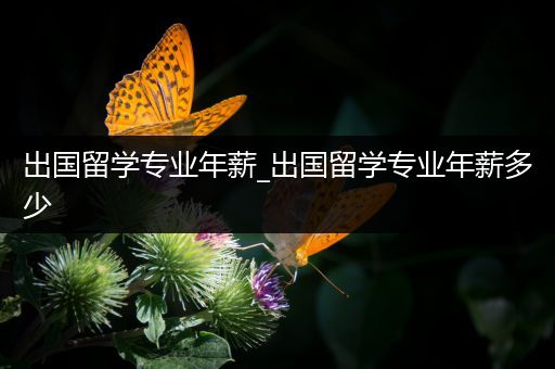 出国留学专业年薪_出国留学专业年薪多少