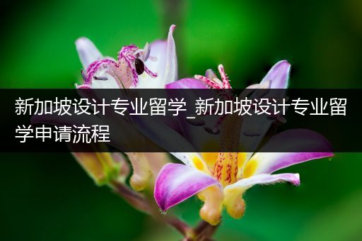 新加坡设计专业留学_新加坡设计专业留学申请流程