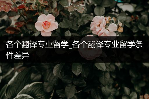 各个翻译专业留学_各个翻译专业留学条件差异