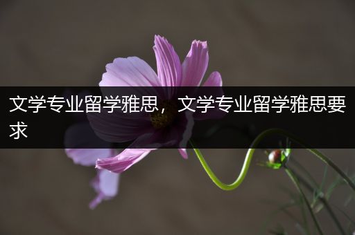 文学专业留学雅思，文学专业留学雅思要求