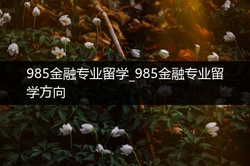 985金融专业留学_985金融专业留学方向