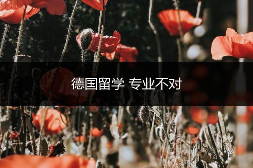 德国留学 专业不对