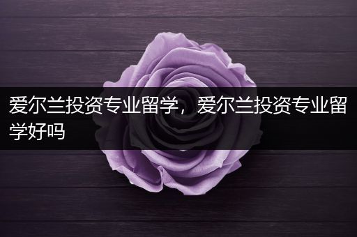 爱尔兰投资专业留学，爱尔兰投资专业留学好吗