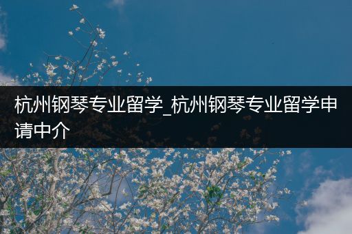 杭州钢琴专业留学_杭州钢琴专业留学申请中介