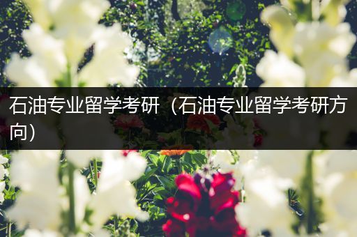 石油专业留学考研（石油专业留学考研方向）