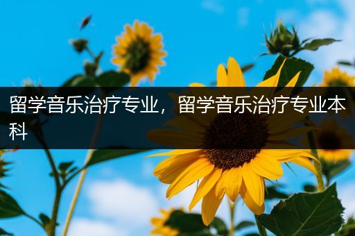 留学音乐治疗专业，留学音乐治疗专业本科