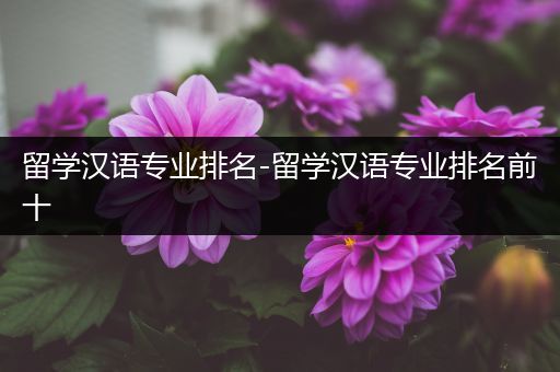 留学汉语专业排名-留学汉语专业排名前十