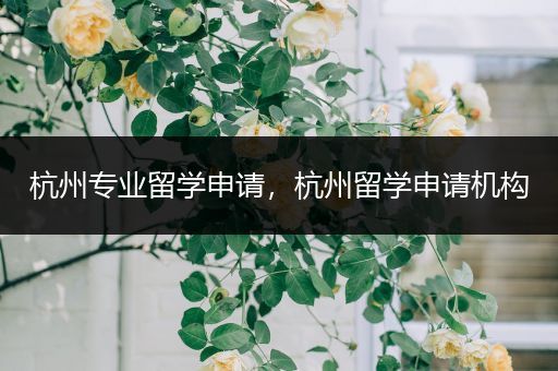 杭州专业留学申请，杭州留学申请机构