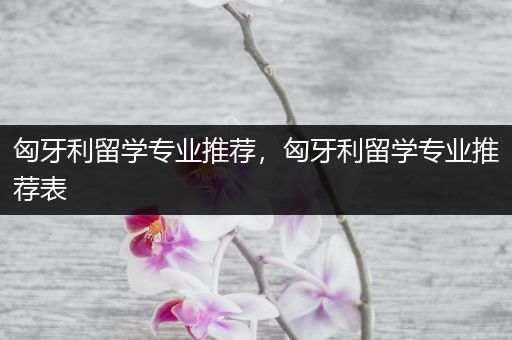 匈牙利留学专业推荐，匈牙利留学专业推荐表