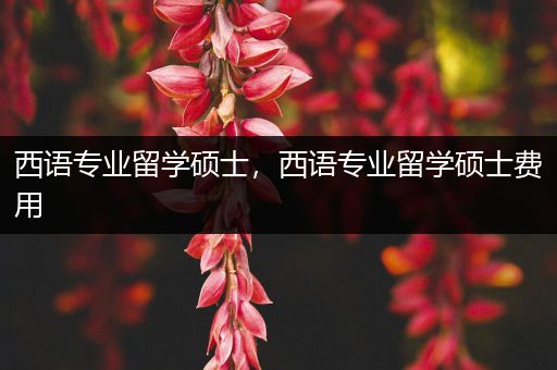 西语专业留学硕士，西语专业留学硕士费用