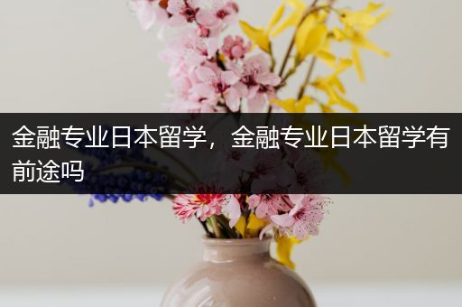 金融专业日本留学，金融专业日本留学有前途吗