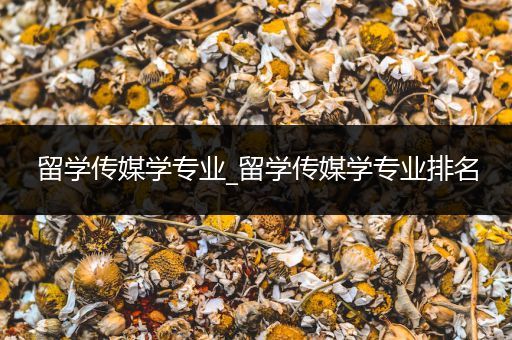 留学传媒学专业_留学传媒学专业排名