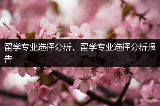 留学专业选择分析，留学专业选择分析报告