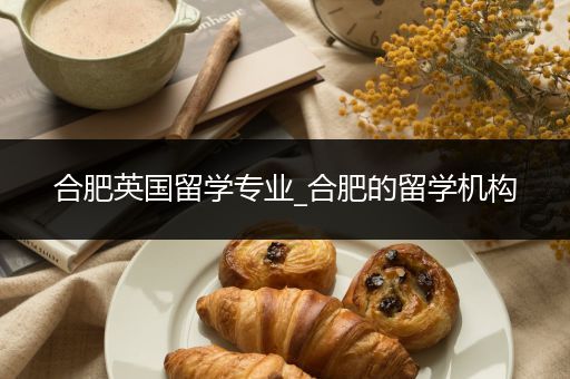 合肥英国留学专业_合肥的留学机构