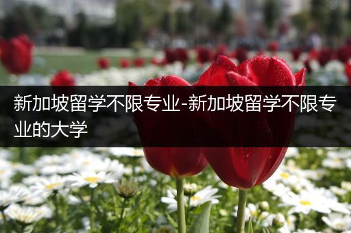 新加坡留学不限专业-新加坡留学不限专业的大学