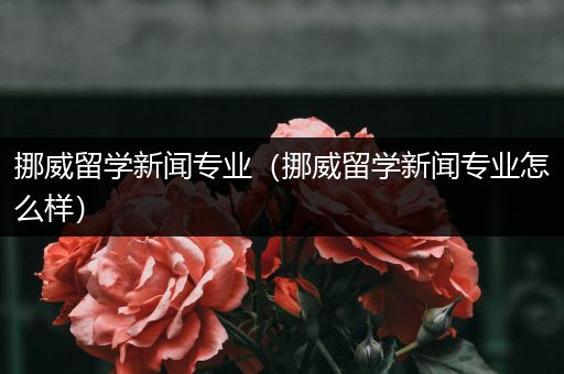 挪威留学新闻专业（挪威留学新闻专业怎么样）