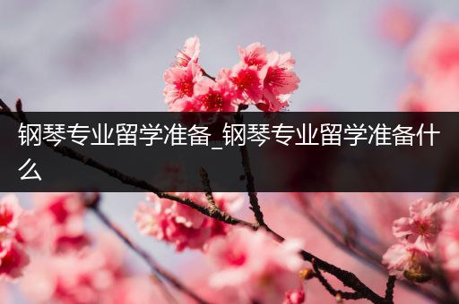 钢琴专业留学准备_钢琴专业留学准备什么