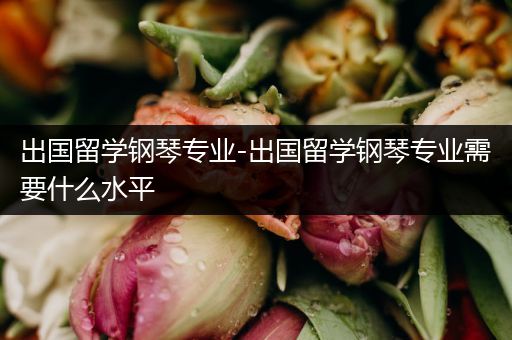 出国留学钢琴专业-出国留学钢琴专业需要什么水平