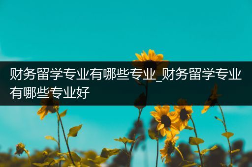 财务留学专业有哪些专业_财务留学专业有哪些专业好