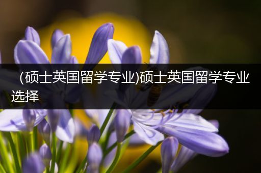 （硕士英国留学专业)硕士英国留学专业选择