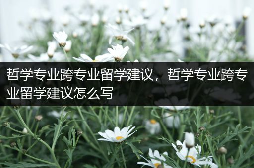 哲学专业跨专业留学建议，哲学专业跨专业留学建议怎么写