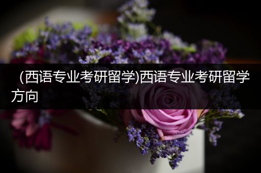 （西语专业考研留学)西语专业考研留学方向