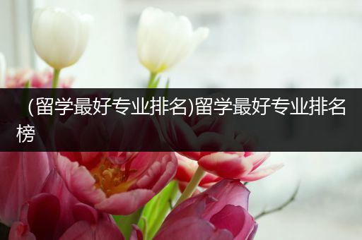 （留学最好专业排名)留学最好专业排名榜