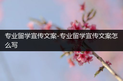 专业留学宣传文案-专业留学宣传文案怎么写