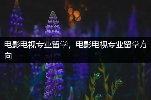 电影电视专业留学，电影电视专业留学方向