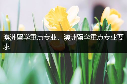 澳洲留学重点专业，澳洲留学重点专业要求