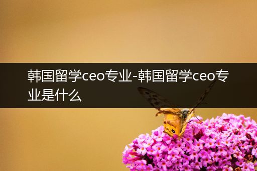 韩国留学ceo专业-韩国留学ceo专业是什么