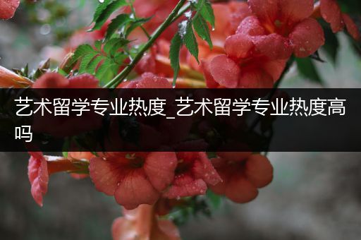 艺术留学专业热度_艺术留学专业热度高吗