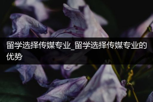 留学选择传媒专业_留学选择传媒专业的优势