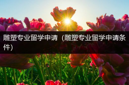 雕塑专业留学申请（雕塑专业留学申请条件）