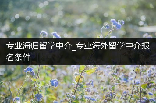 专业海归留学中介_专业海外留学中介报名条件