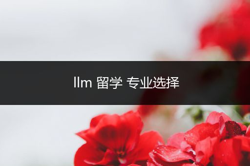 llm 留学 专业选择