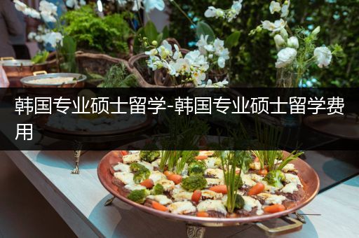 韩国专业硕士留学-韩国专业硕士留学费用