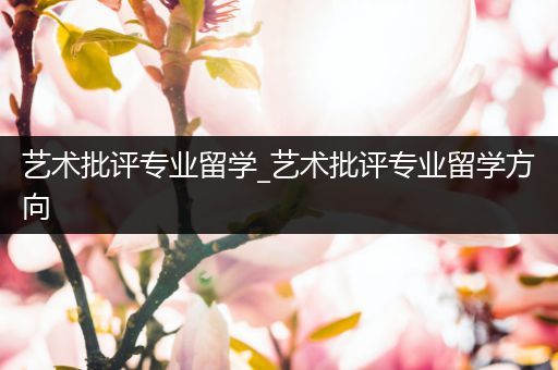 艺术批评专业留学_艺术批评专业留学方向