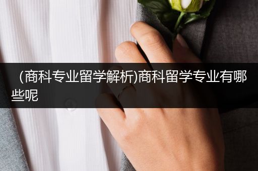 （商科专业留学解析)商科留学专业有哪些呢