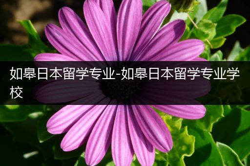 如皋日本留学专业-如皋日本留学专业学校