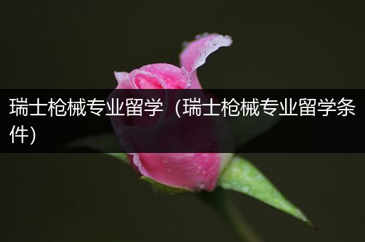 瑞士枪械专业留学（瑞士枪械专业留学条件）