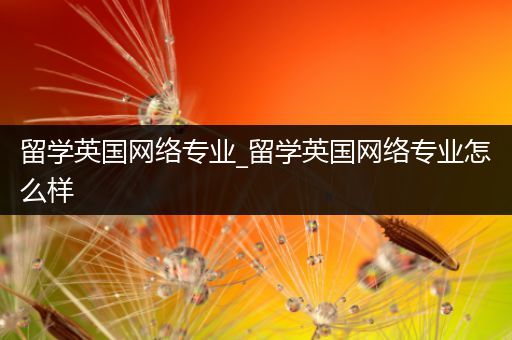 留学英国网络专业_留学英国网络专业怎么样