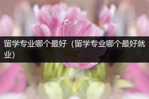 留学专业哪个最好（留学专业哪个最好就业）