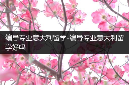 编导专业意大利留学-编导专业意大利留学好吗