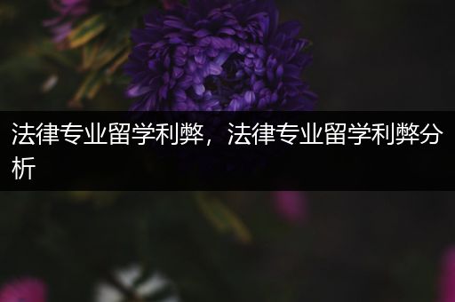 法律专业留学利弊，法律专业留学利弊分析