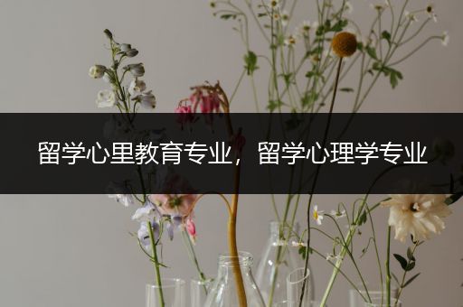 留学心里教育专业，留学心理学专业