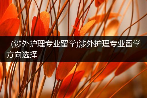 （涉外护理专业留学)涉外护理专业留学方向选择