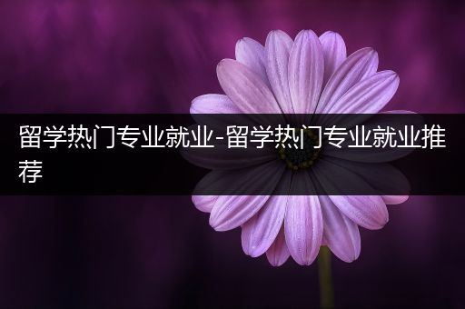 留学热门专业就业-留学热门专业就业推荐