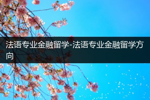 法语专业金融留学-法语专业金融留学方向