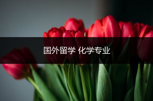 国外留学 化学专业